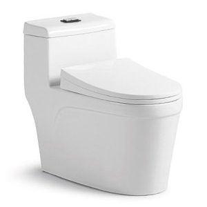 Bồn cầu khối BC-8810