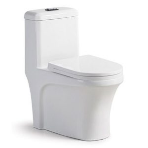 Bồn cầu khối BC-8813